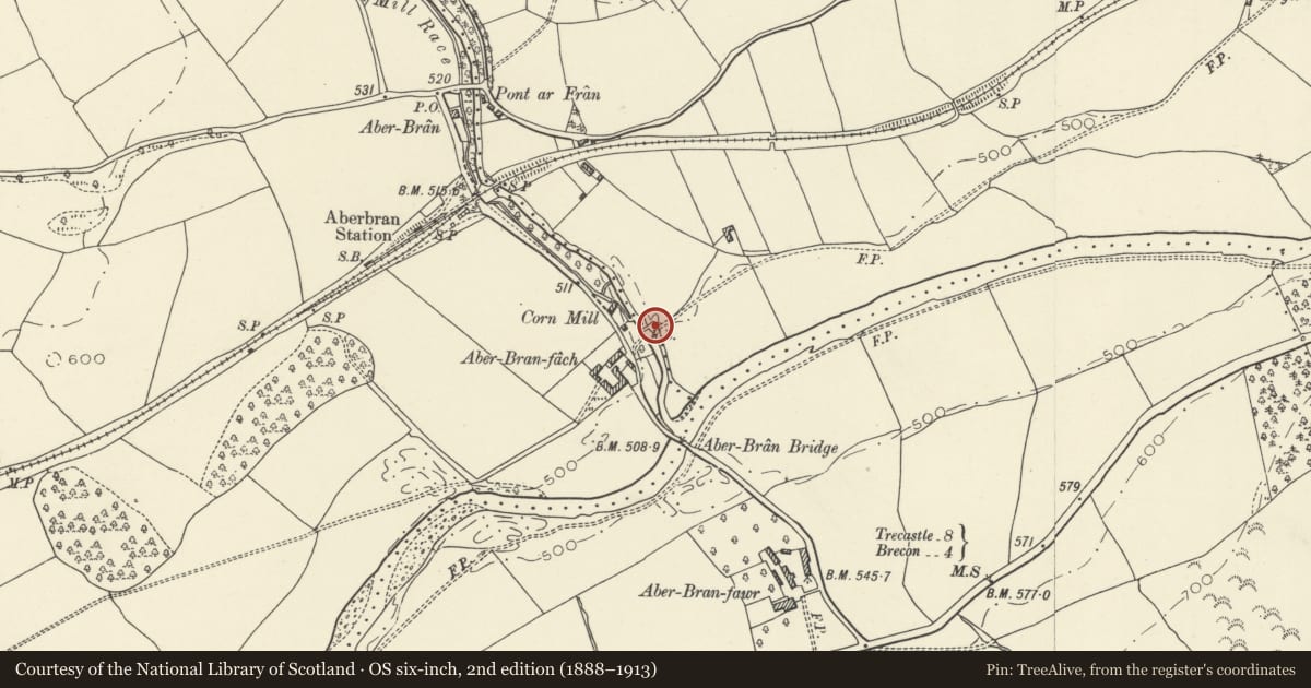 Ordnance Survey six-inch map, 2nd edition (1888–1913) covering the location of Bridge over Nant Bran near Aberbran-fach Farm (partly in Trallong community), Yscir, Powys, with a pin at the register's coordinates