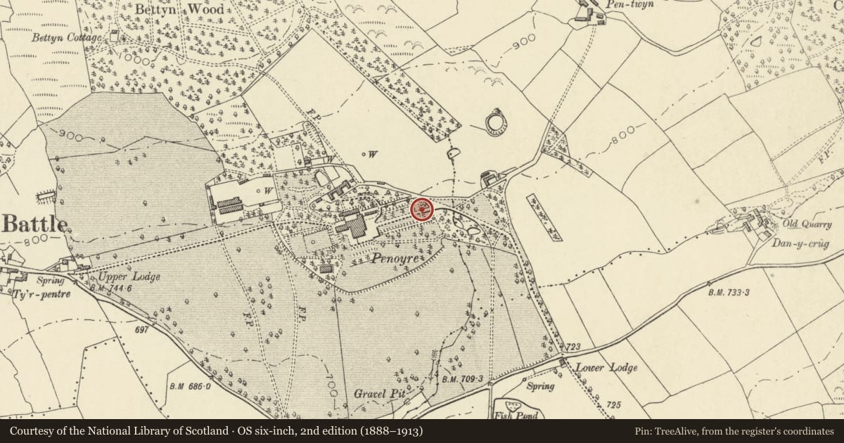 Ordnance Survey six-inch map, 2nd edition (1888–1913) covering the location of Entrance gatepiers and gates to Penoyre, Yscir, Powys, with a pin at the register's coordinates