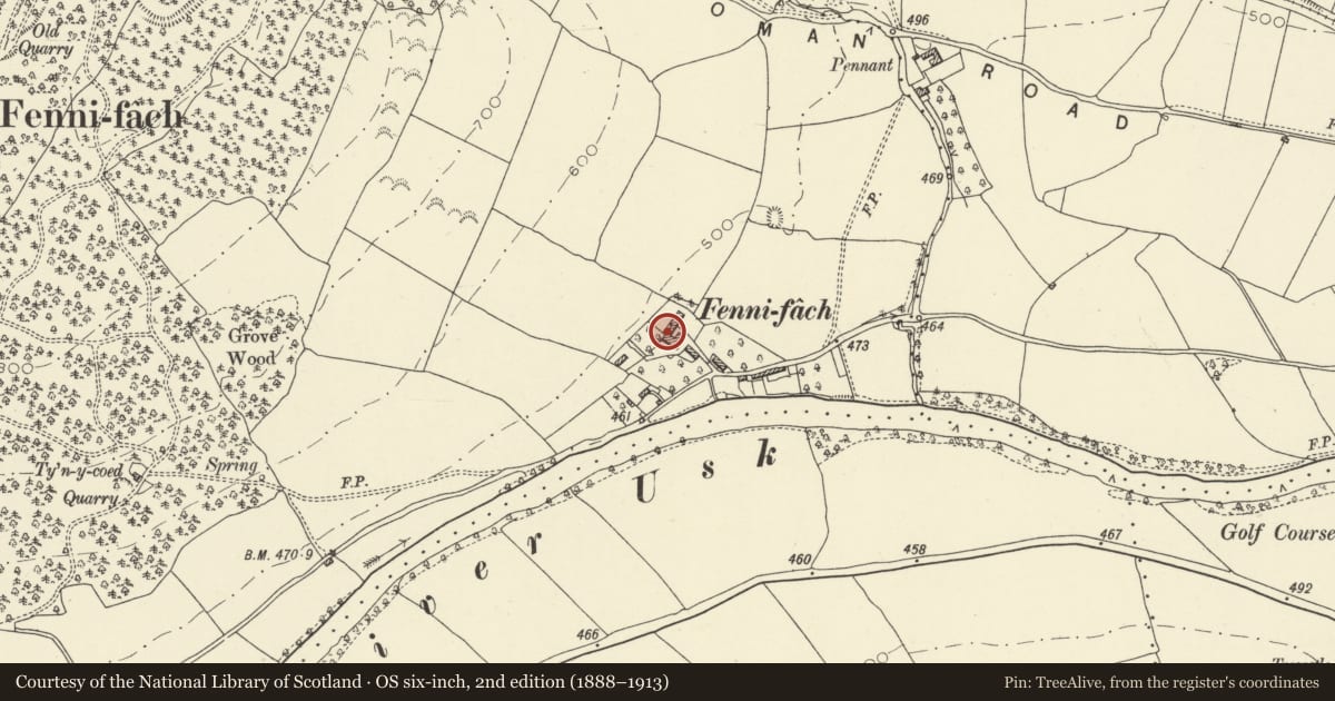 Ordnance Survey six-inch map, 2nd edition (1888–1913) covering the location of Fenni Fach and attached barns, Yscir, Powys, with a pin at the register's coordinates