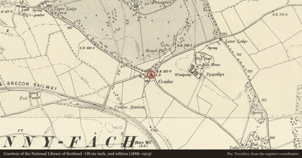 Ordnance Survey six-inch map, 2nd edition (1888–1913) covering the location of The Old Smithy, Yscir, Powys, with a pin at the register's coordinates