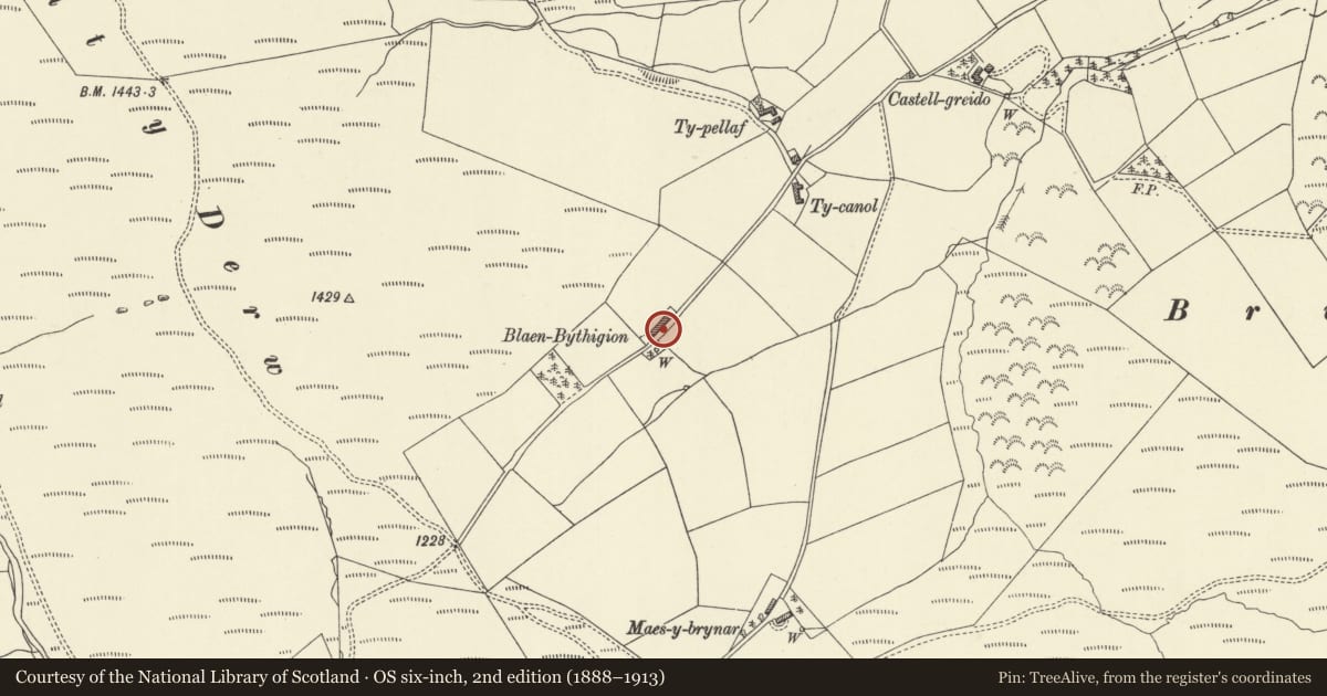 Ordnance Survey six-inch map, 2nd edition (1888–1913) covering the location of Blaenbythigion, Llangurig, Powys, with a pin at the register's coordinates