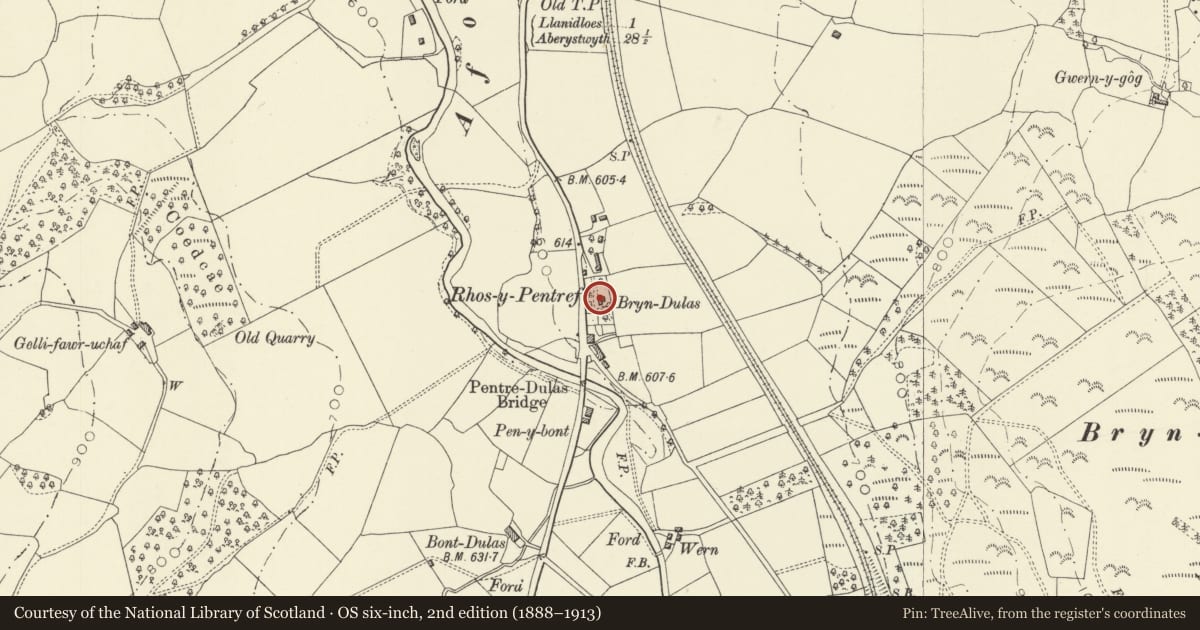 Ordnance Survey six-inch map, 2nd edition (1888–1913) covering the location of Bryn dulas, Llangurig, Powys, with a pin at the register's coordinates
