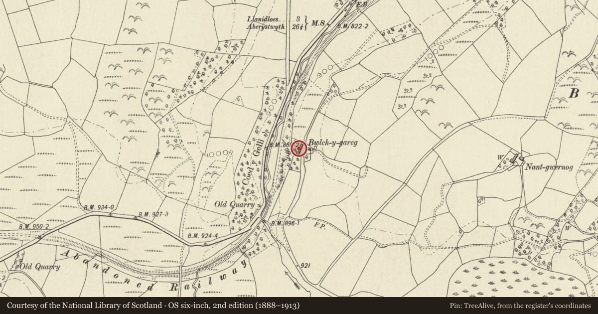 Ordnance Survey six-inch map, 2nd edition (1888–1913) covering the location of Bwlch y garreg, Llangurig, Powys, with a pin at the register's coordinates