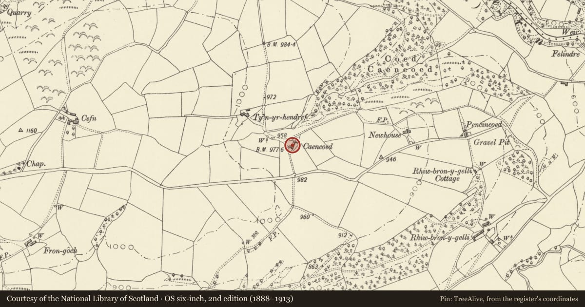 Ordnance Survey six-inch map, 2nd edition (1888–1913) covering the location of Cincoed with attached farm buildings, Llangurig, Powys, with a pin at the register's coordinates