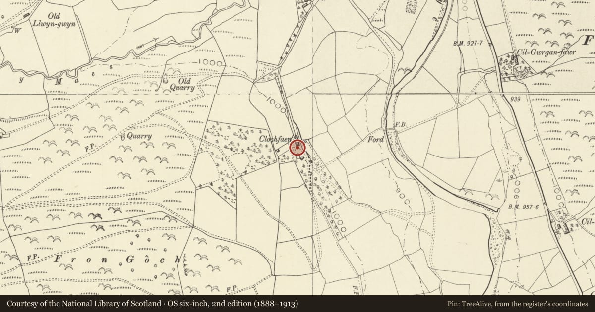 Ordnance Survey six-inch map, 2nd edition (1888–1913) covering the location of Clochfaen, Llangurig, Powys, with a pin at the register's coordinates