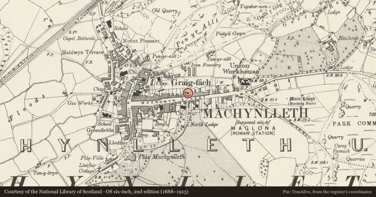 Ordnance Survey six-inch map, 2nd edition (1888–1913) covering the location of Owain Glyndwr's Parliament House, Machynlleth, Powys, with a pin at the register's coordinates