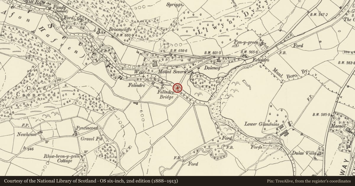 Ordnance Survey six-inch map, 2nd edition (1888–1913) covering the location of Felindre Bridge (partly in Llanidloes community), Llangurig, Powys, with a pin at the register's coordinates