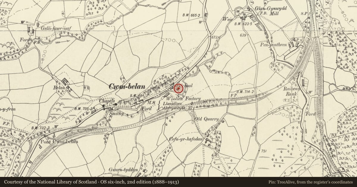 Ordnance Survey six-inch map, 2nd edition (1888–1913) covering the location of Glanyrafon, Llangurig, Powys, with a pin at the register's coordinates