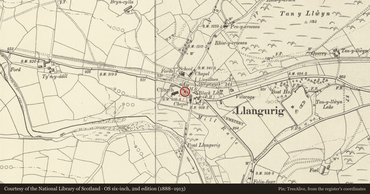 Ordnance Survey six-inch map, 2nd edition (1888–1913) covering the location of Memorial to Chevalier Lloyd, Llangurig, Powys, with a pin at the register's coordinates