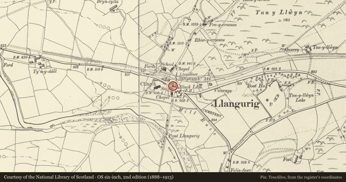 Ordnance Survey six-inch map, 2nd edition (1888–1913) covering the location of Milestone, Llangurig, Powys, with a pin at the register's coordinates