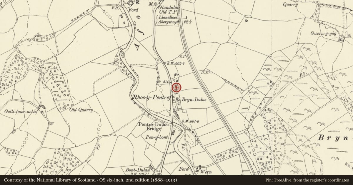 Ordnance Survey six-inch map, 2nd edition (1888–1913) covering the location of Multi-purpose Farm Building at Bryn dulas, Llangurig, Powys, with a pin at the register's coordinates