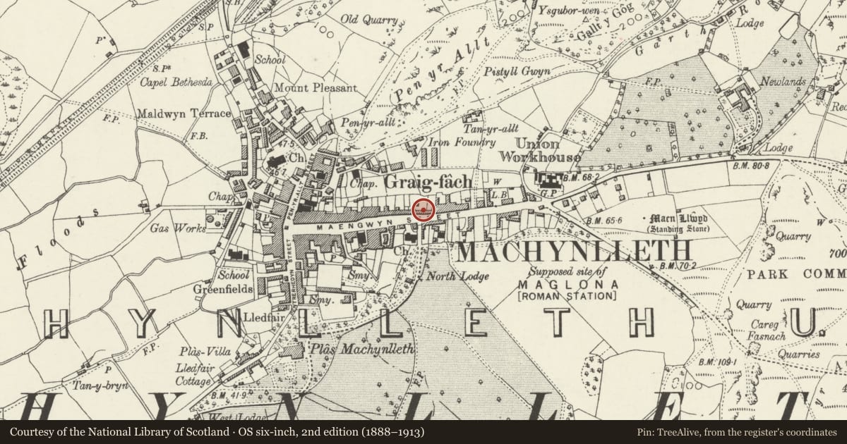 Ordnance Survey six-inch map, 2nd edition (1888–1913) covering the location of Owain Glyndwr Institute, Machynlleth, Powys, with a pin at the register's coordinates