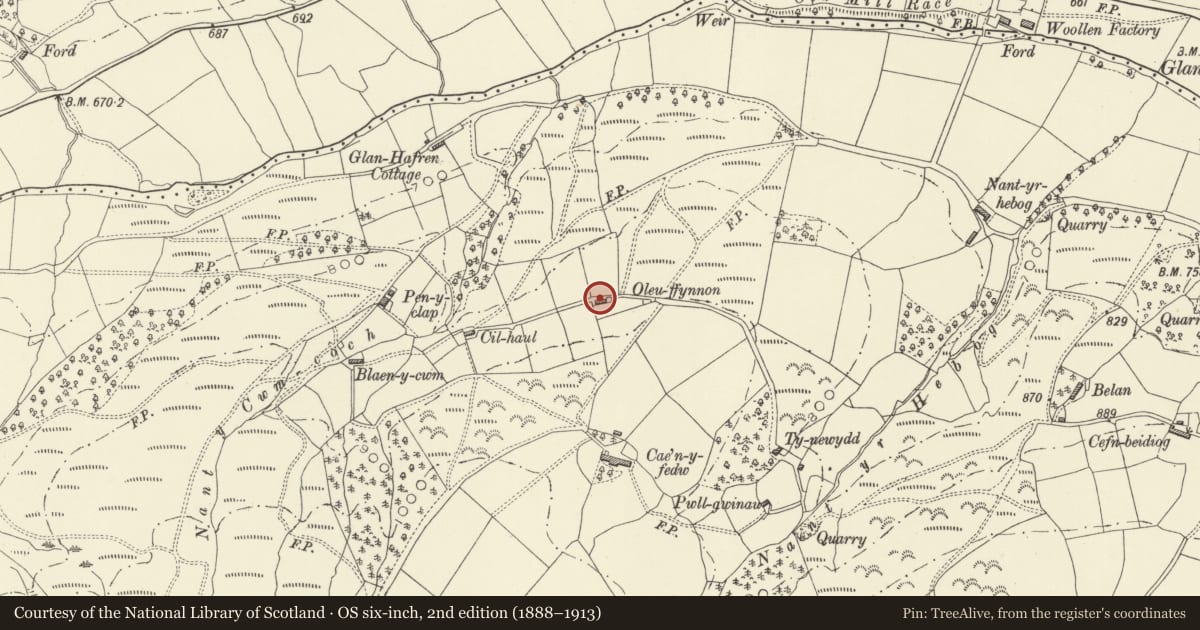 Ordnance Survey six-inch map, 2nd edition (1888–1913) covering the location of Oleu Ffynnon, Llangurig, Powys, with a pin at the register's coordinates