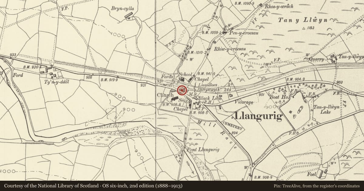 Ordnance Survey six-inch map, 2nd edition (1888–1913) covering the location of The Blue Bell Inn, Llangurig, Powys, with a pin at the register's coordinates