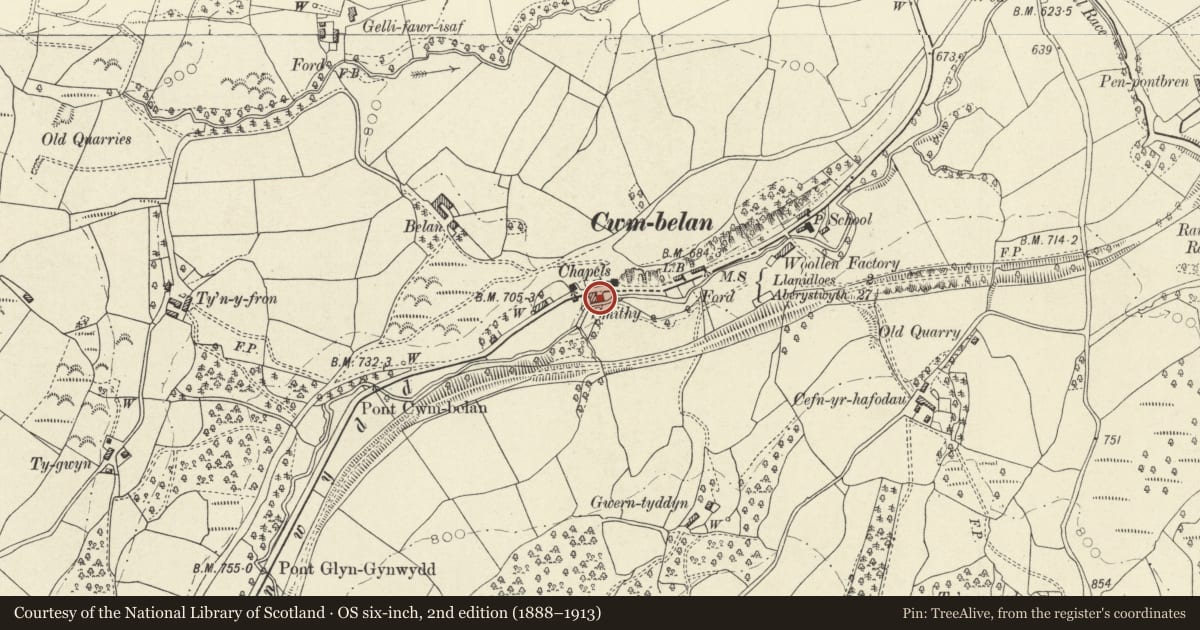 Ordnance Survey six-inch map, 2nd edition (1888–1913) covering the location of The Vulcan, Llangurig, Powys, with a pin at the register's coordinates