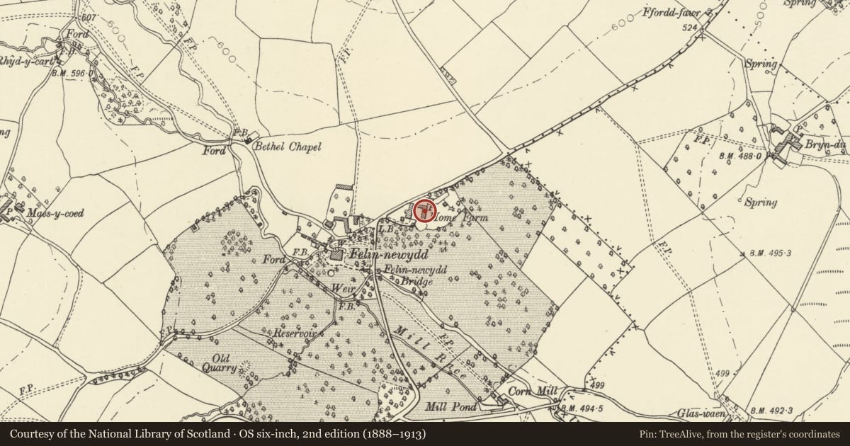 Ordnance Survey six-inch map, 2nd edition (1888–1913) covering the location of Barn Range at Home farm, Felin-Fach, Powys, with a pin at the register's coordinates