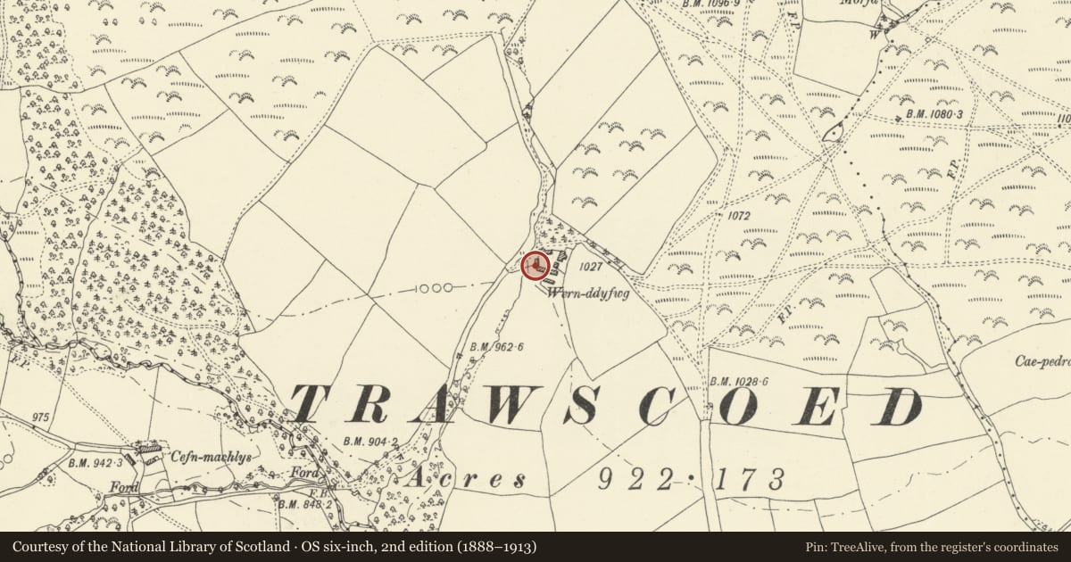 Ordnance Survey six-inch map, 2nd edition (1888–1913) covering the location of Barn range at Wernddyfwg, Felin-Fach, Powys, with a pin at the register's coordinates