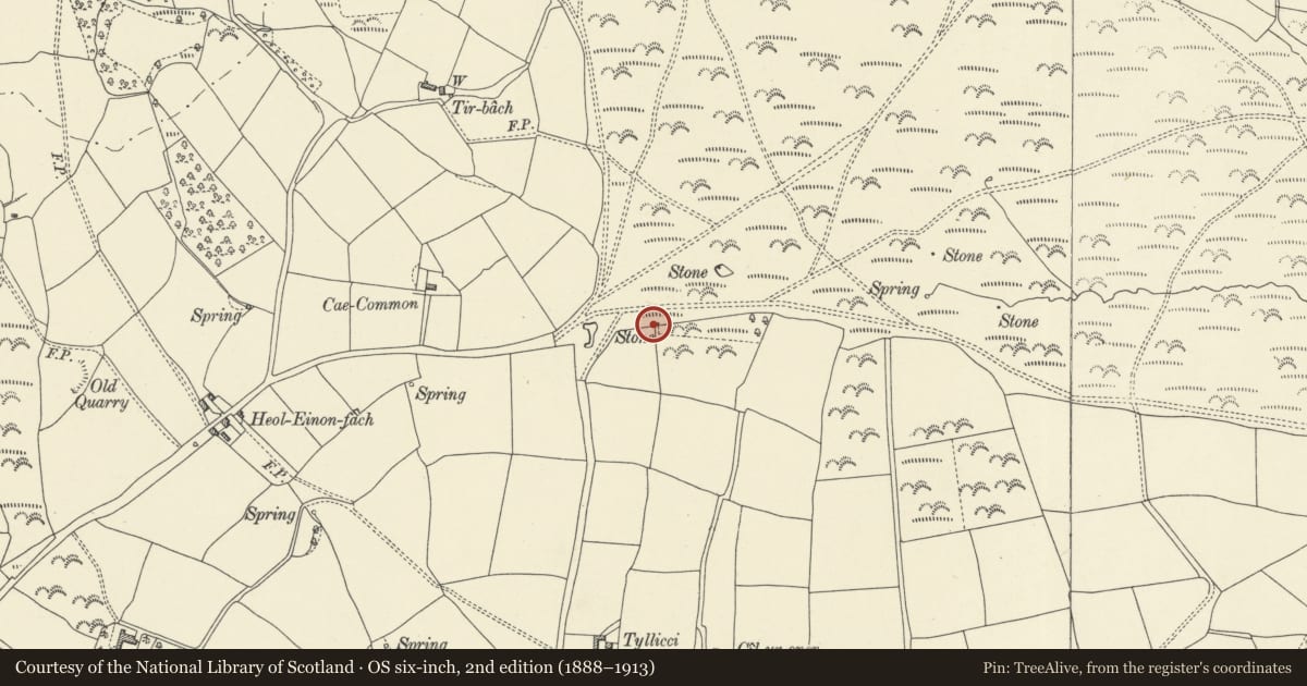 Ordnance Survey six-inch map, 2nd edition (1888–1913) covering the location of Boundary stone E of Cae-common to E of field gate, Felin-Fach, Powys, with a pin at the register's coordinates