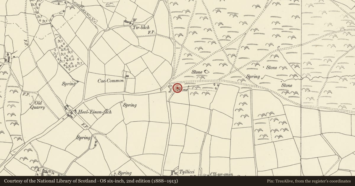 Ordnance Survey six-inch map, 2nd edition (1888–1913) covering the location of Boundary stone E of Cae-common to W of field gate, Felin-Fach, Powys, with a pin at the register's coordinates