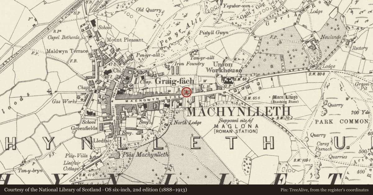 Ordnance Survey six-inch map, 2nd edition (1888–1913) covering the location of 95 Heol Maengwyn, Machynlleth, Powys, with a pin at the register's coordinates