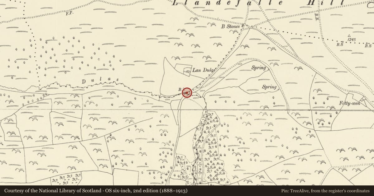 Ordnance Survey six-inch map, 2nd edition (1888–1913) covering the location of Boundary stone N of Nant Dulas, Felin-Fach, Powys, with a pin at the register's coordinates