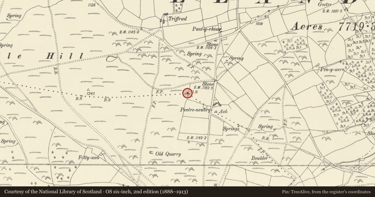 Ordnance Survey six-inch map, 2nd edition (1888–1913) covering the location of Boundary stone NW of Pentrenewbury, Felin-Fach, Powys, with a pin at the register's coordinates