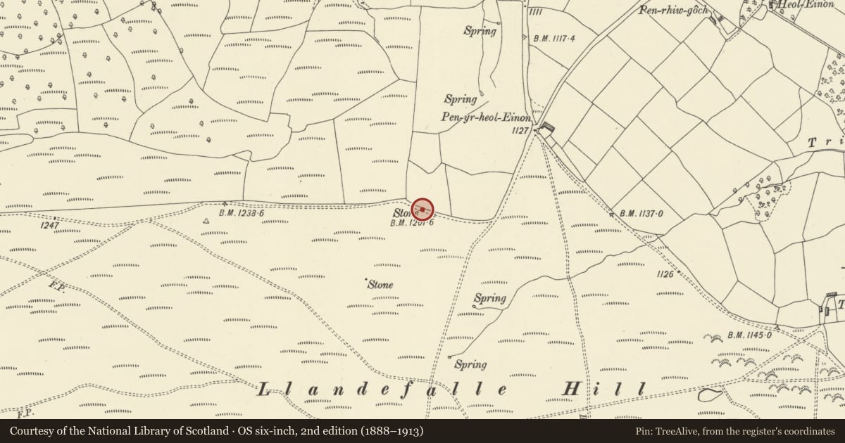 Ordnance Survey six-inch map, 2nd edition (1888–1913) covering the location of Boundary stone SW of Werntoe, Felin-Fach, Powys, with a pin at the register's coordinates