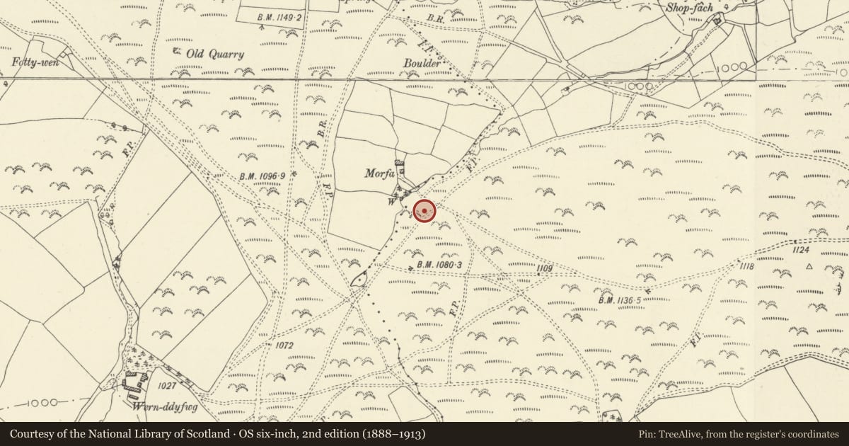 Ordnance Survey six-inch map, 2nd edition (1888–1913) covering the location of Boundary stone to SE of Morfa, Felin-Fach, Powys, with a pin at the register's coordinates