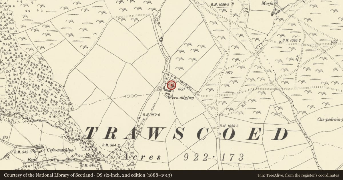 Ordnance Survey six-inch map, 2nd edition (1888–1913) covering the location of Old farmhouse at Wernddyfwg, Felin-Fach, Powys, with a pin at the register's coordinates