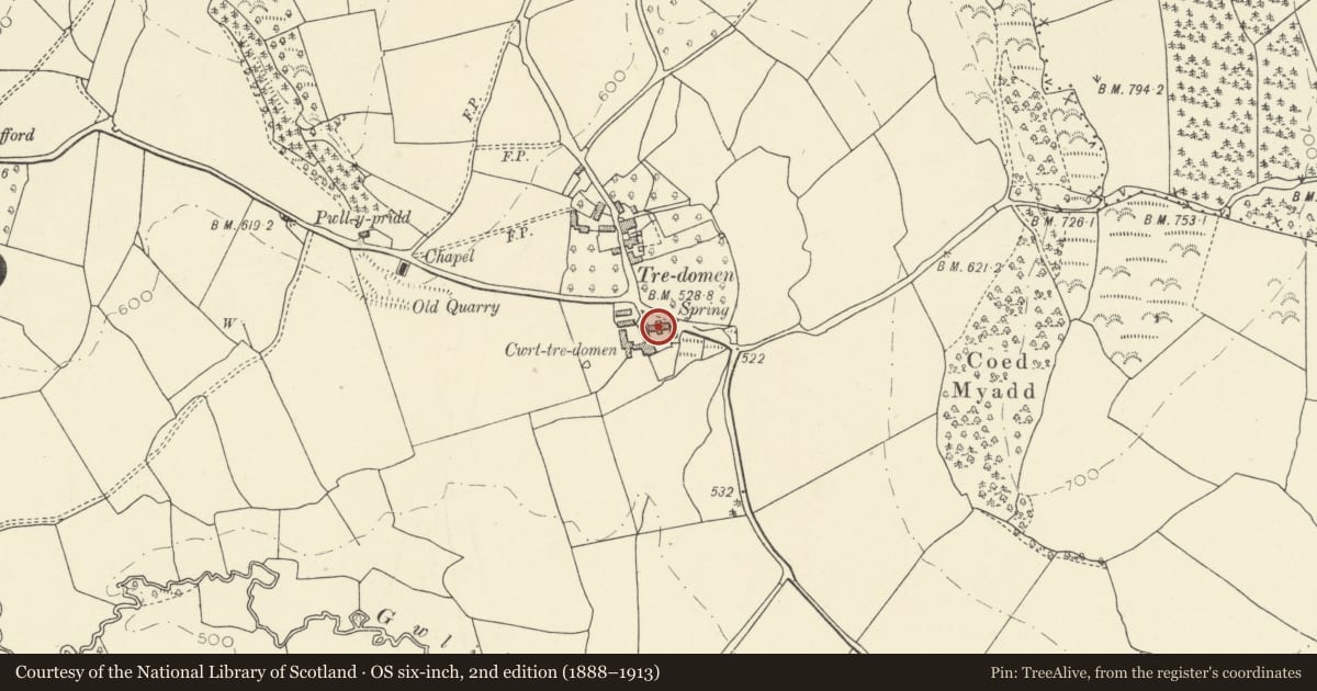 Ordnance Survey six-inch map, 2nd edition (1888–1913) covering the location of Outbuildings on N and E sides of farm court at Tredomen Court, Felin-Fach, Powys, with a pin at the register's coordinates