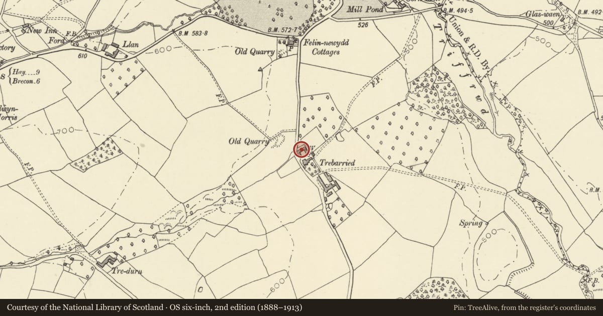 Ordnance Survey six-inch map, 2nd edition (1888–1913) covering the location of Trebarried Court, Felin-Fach, Powys, with a pin at the register's coordinates