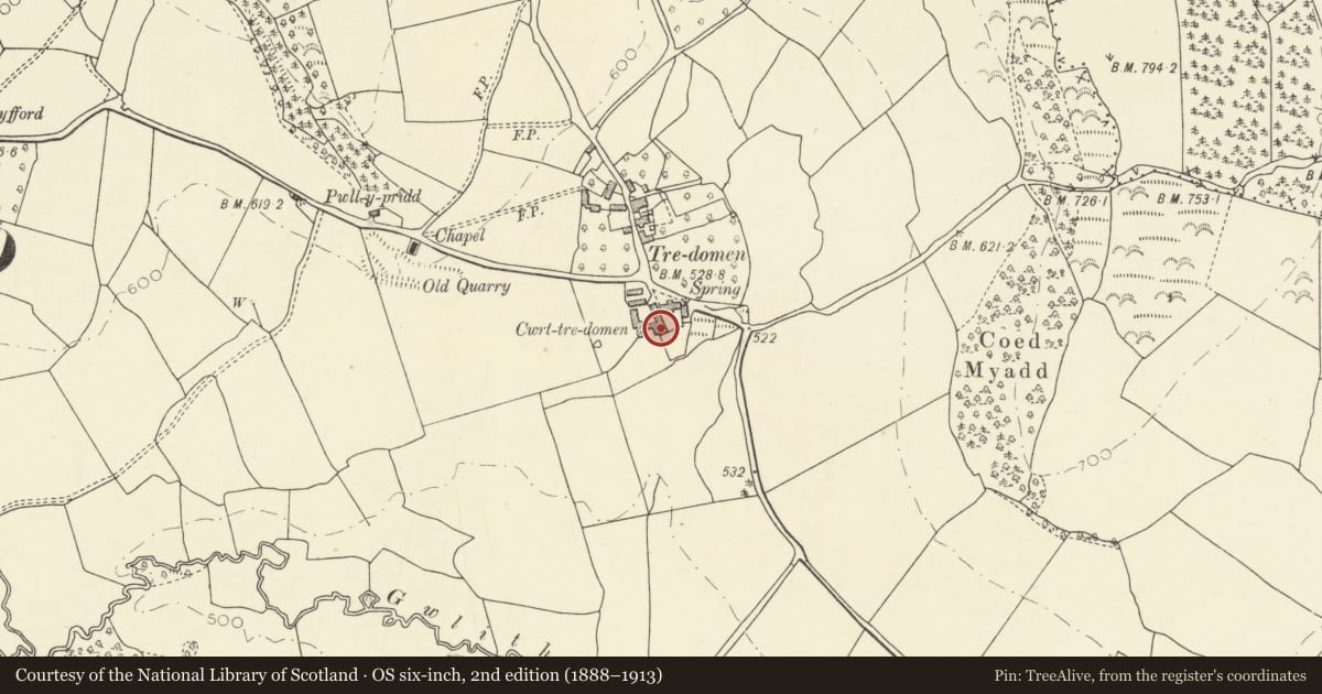 Ordnance Survey six-inch map, 2nd edition (1888–1913) covering the location of Tredomen Court and attached barn, Felin-Fach, Powys, with a pin at the register's coordinates