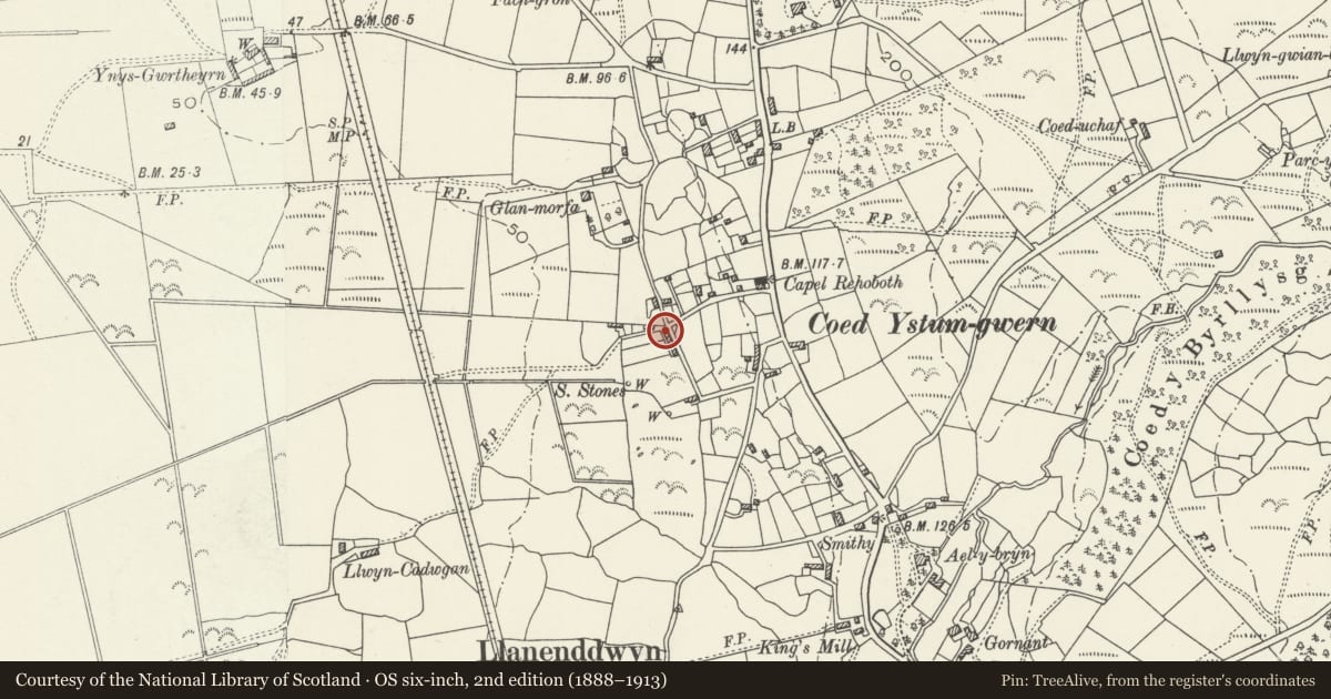 Ordnance Survey six-inch map, 2nd edition (1888–1913) covering the location of 1 GlanrhosTerrace, Dyffryn Ardudwy, Gwynedd, with a pin at the register's coordinates