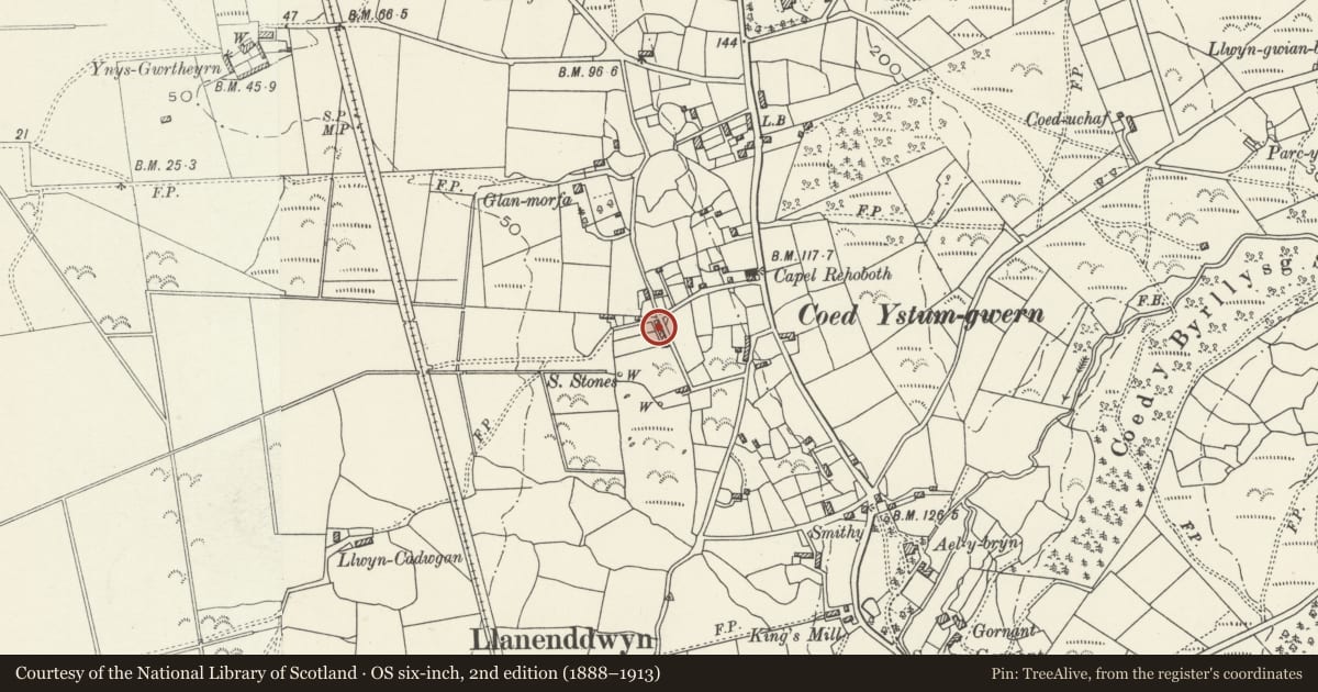 Ordnance Survey six-inch map, 2nd edition (1888–1913) covering the location of 2 Glanrhos Terrace, Dyffryn Ardudwy, Gwynedd, with a pin at the register's coordinates