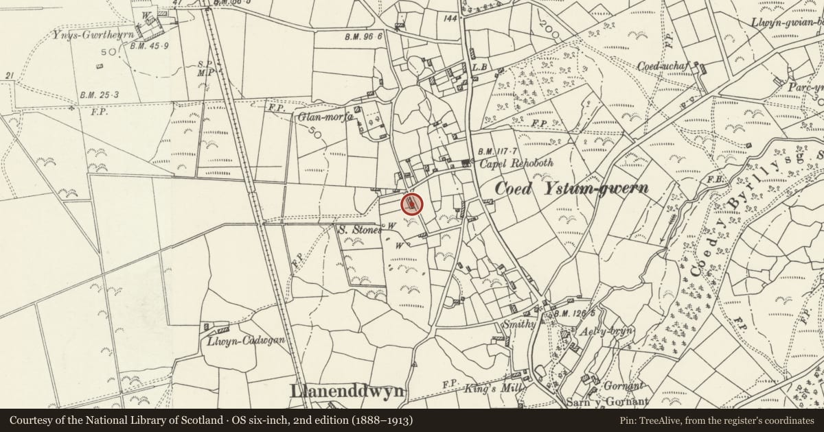 Ordnance Survey six-inch map, 2nd edition (1888–1913) covering the location of 5 Glanrhos Terrace, Dyffryn Ardudwy, Gwynedd, with a pin at the register's coordinates