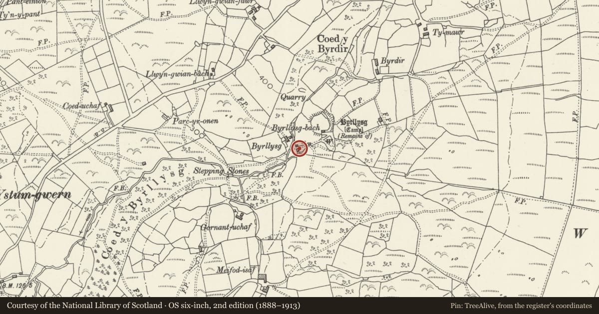 Ordnance Survey six-inch map, 2nd edition (1888–1913) covering the location of Barn at Byrllysg, Dyffryn Ardudwy, Gwynedd, with a pin at the register's coordinates