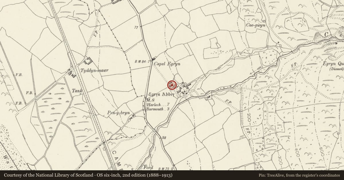 Ordnance Survey six-inch map, 2nd edition (1888–1913) covering the location of Barn to NW of Old House, Dyffryn Ardudwy, Gwynedd, with a pin at the register's coordinates