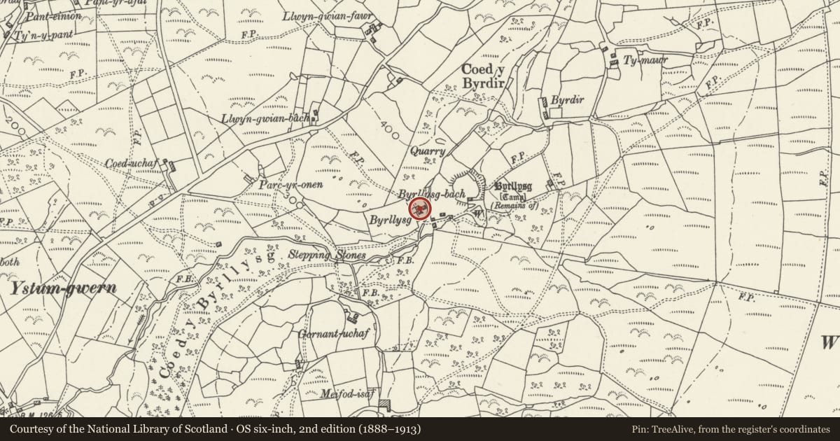 Ordnance Survey six-inch map, 2nd edition (1888–1913) covering the location of Byrllysg, Dyffryn Ardudwy, Gwynedd, with a pin at the register's coordinates