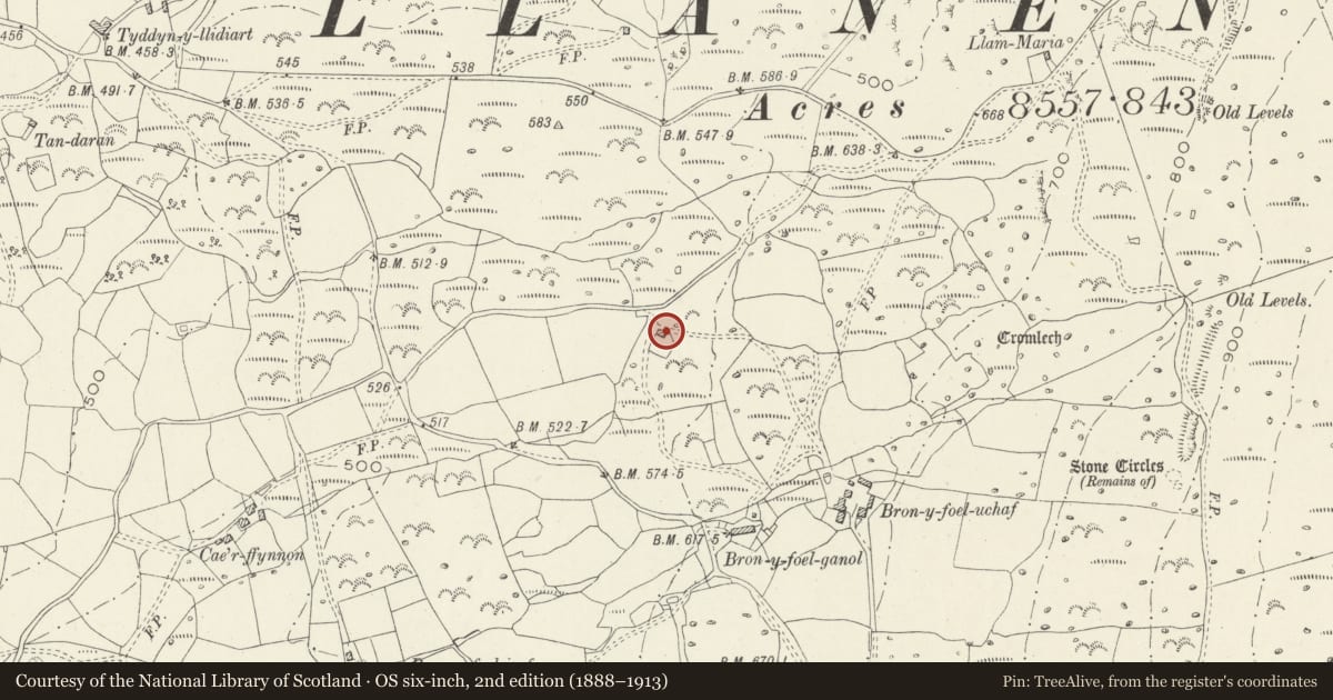 Ordnance Survey six-inch map, 2nd edition (1888–1913) covering the location of Field barn by Bron-y-foel-uchaf, Dyffryn Ardudwy, Gwynedd, with a pin at the register's coordinates