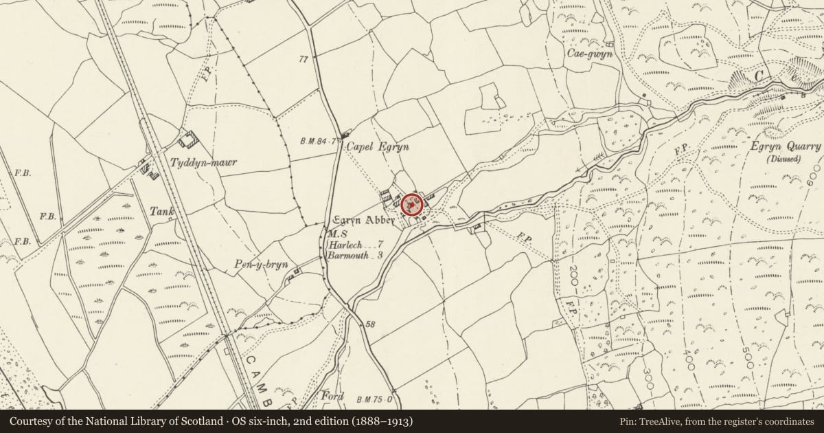 Ordnance Survey six-inch map, 2nd edition (1888–1913) covering the location of Former Mill and Store, Dyffryn Ardudwy, Gwynedd, with a pin at the register's coordinates