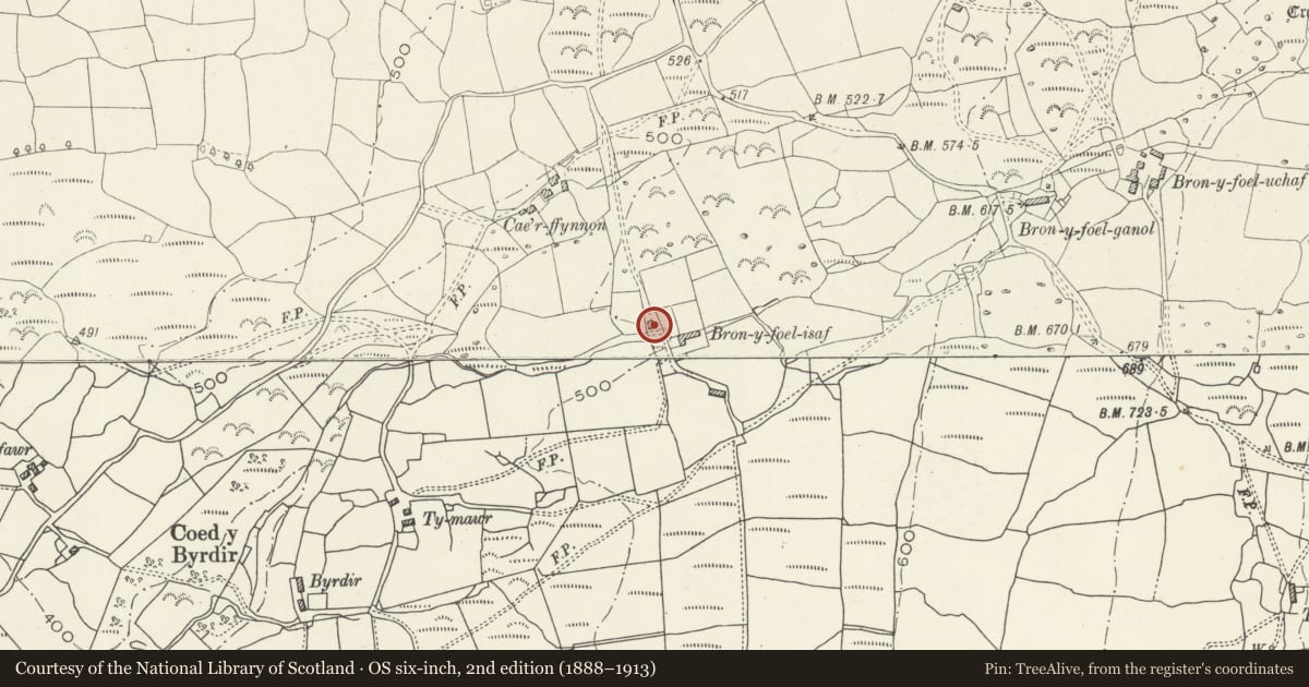 Ordnance Survey six-inch map, 2nd edition (1888–1913) covering the location of Lofted stables at Bron-y-foel-isaf, Dyffryn Ardudwy, Gwynedd, with a pin at the register's coordinates