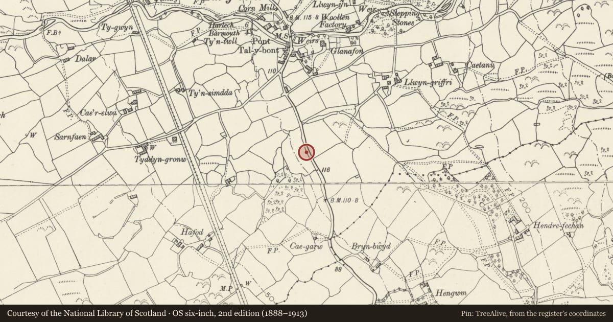 Ordnance Survey six-inch map, 2nd edition (1888–1913) covering the location of Milepost, Dyffryn Ardudwy, Gwynedd, with a pin at the register's coordinates