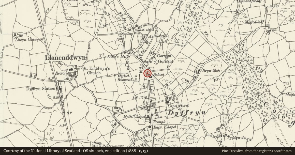 Ordnance Survey six-inch map, 2nd edition (1888–1913) covering the location of Milestone at N end Dyffryn Ardudwy, Gwynedd, with a pin at the register's coordinates