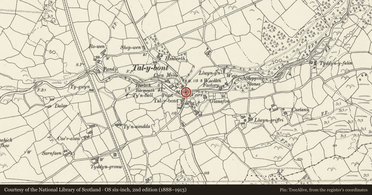 Ordnance Survey six-inch map, 2nd edition (1888–1913) covering the location of Milestone at Tal-y-bont Bridge, Dyffryn Ardudwy, Gwynedd, with a pin at the register's coordinates