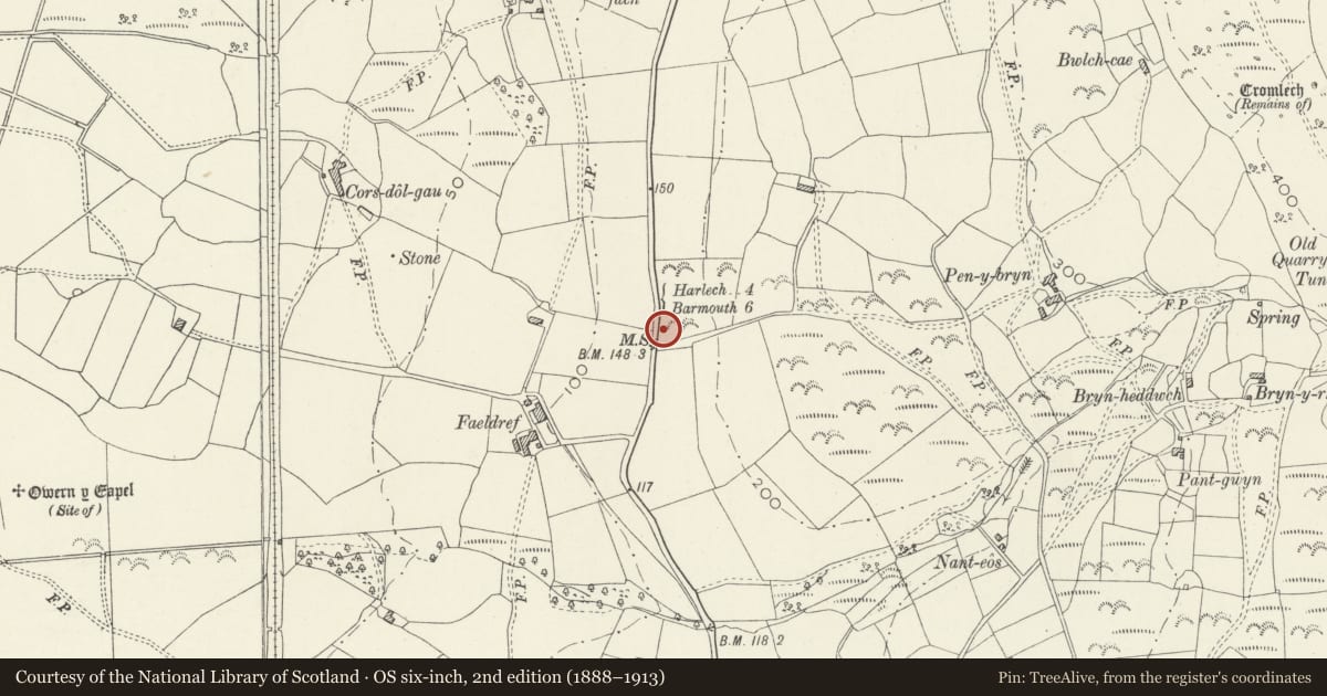 Ordnance Survey six-inch map, 2nd edition (1888–1913) covering the location of Milestone, Dyffryn Ardudwy, Gwynedd, with a pin at the register's coordinates