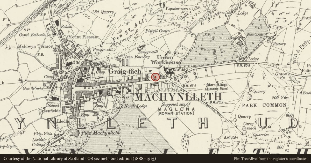 Ordnance Survey six-inch map, 2nd edition (1888–1913) covering the location of Maengwyn House, Machynlleth, Powys, with a pin at the register's coordinates