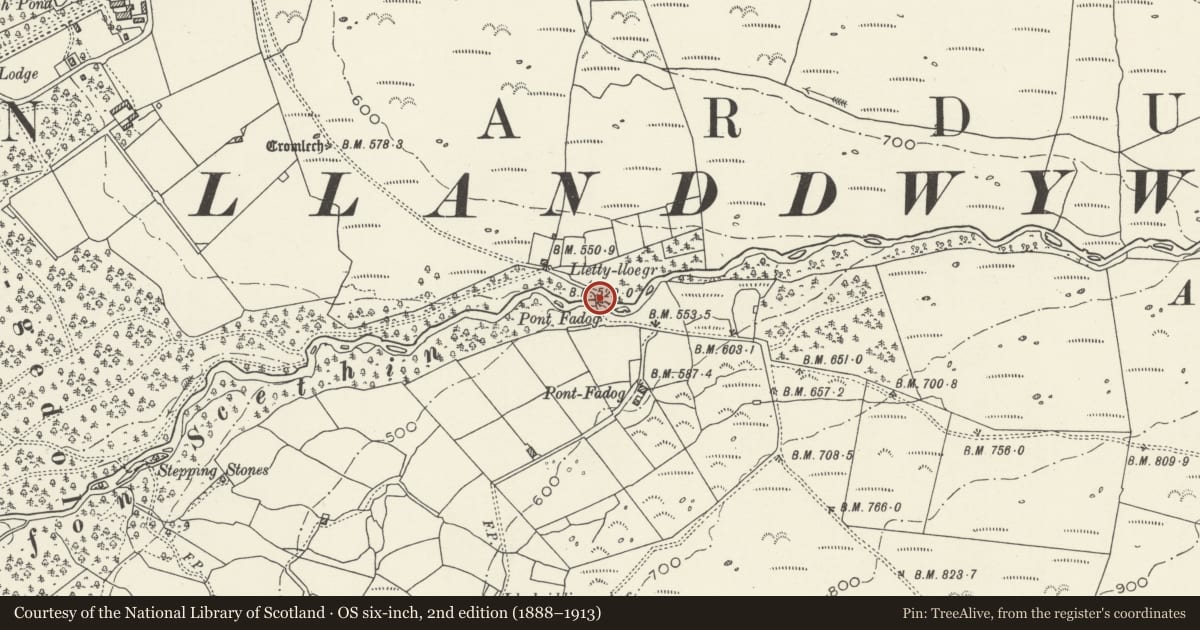 Ordnance Survey six-inch map, 2nd edition (1888–1913) covering the location of Pont Fadog, Dyffryn Ardudwy, Gwynedd, with a pin at the register's coordinates