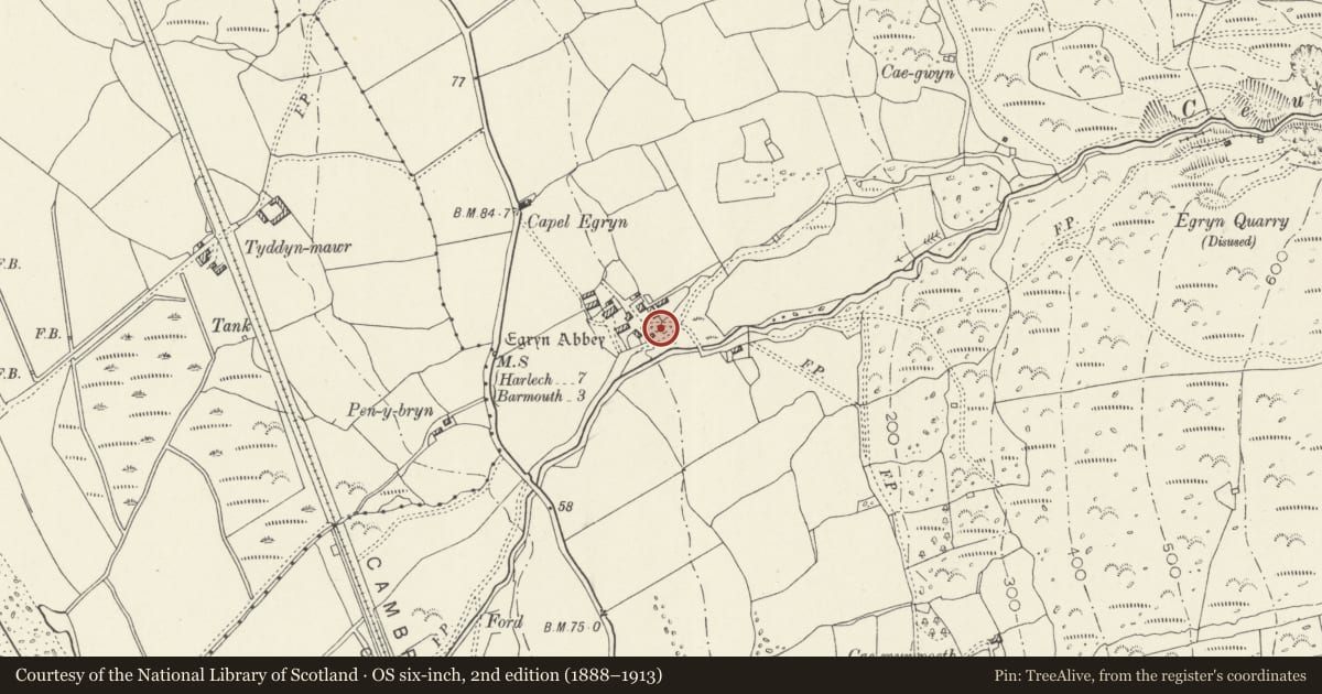 Ordnance Survey six-inch map, 2nd edition (1888–1913) covering the location of Root clamp at Egryn, Dyffryn Ardudwy, Gwynedd, with a pin at the register's coordinates