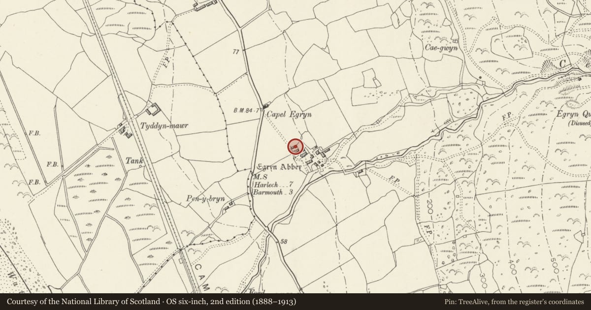 Ordnance Survey six-inch map, 2nd edition (1888–1913) covering the location of Shelter Shed, Dyffryn Ardudwy, Gwynedd, with a pin at the register's coordinates