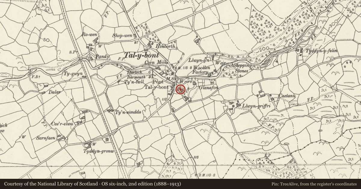 Ordnance Survey six-inch map, 2nd edition (1888–1913) covering the location of Ty-Ucha-Bach and Ty-Ucha-Mawr, Dyffryn Ardudwy, Gwynedd, with a pin at the register's coordinates